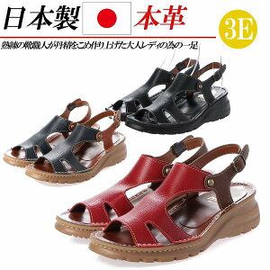 { {v T_ fB[X EFbWq[ [q[ tbg  L 4E U[ RtH[gT_ Xgbv ubN bh lCr[