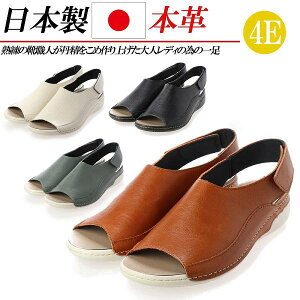 { {v T_ fB[X [q[ tbg L 4E Xgbv U[ RtH[gT_ fB[XT_  ubN L zCg 