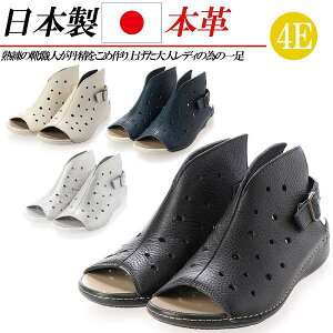 { {v T_ fB[X [q[ EFbW tbg L 4E U[ u[cT_ v T}[u[c p`O  ubN S[h lCr[ 