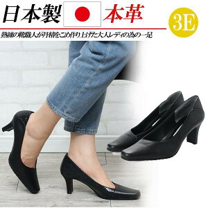 { {v pvX 6cm ߃q[ XNGAgD v U[ L 3E tH[}pvX ubN  NR RtH[gpvX ʋ rWlX 