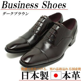 ビジネスシューズ メンズ 本革 日本製 おしゃれな 紳士靴 男性 靴 茶色 ダーク ブラウン ストレートチップ 内羽