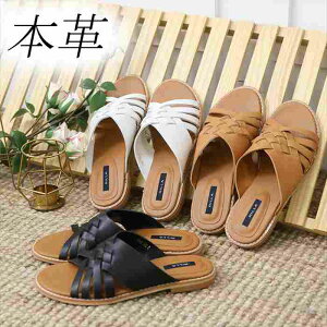 {v tbgT_ fB[X U[ T_ tbg ؂ NX ҂ݍ  ubN uE zCg  Xbp JWA Vv