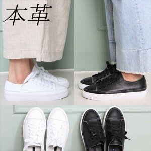 {v v Xj[J[ fB[X [Jbg U[Xj[J[   zCg  ubN 傫TCY R JWA Vv C