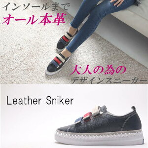 {v Xj[J[ fB[X U[Xj[J[ [Jbg  ubN  v RȂ Xj[J[ JWAV[Y xN