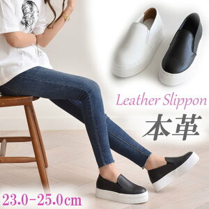 {v Xb| fB[X    U[ Xj[J[ [Jbg Vv JWA fB[XV[Y RȂ C 傫TCY