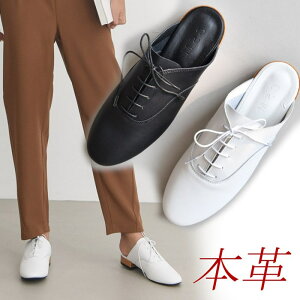 {v IbNXtH[hV[Y fB[X [XAbvV[Y [t@[ Ȃ u[t@[  ubN  zCg }jbVV[Y  C