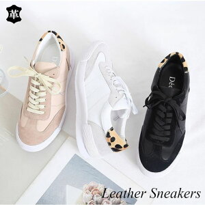 v Xj[J[ fB[X [Jbg U[Xj[J[  zCg  ubN x[W Ip[h qE R