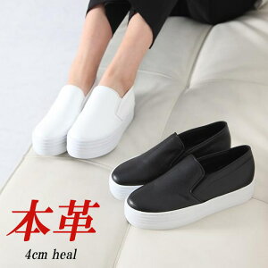 {v Xb| fB[X    U[ Xj[J[ [Jbg Vv JWA fB[XV[Y RȂ C 傫TCY