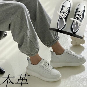 {v Xj[J[ fB[X [Jbg U[Xj[J[   ubN  zCg fB[XV[Y 傫TCY R JWA Vv ʋ C