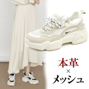 {v v Xj[J[  fB[X [Jbg U[Xj[J[ Xj[J[  ubN x[W bV