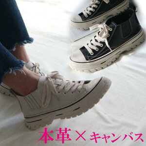 {v v Xj[J[ fB[X [Jbg U[Xj[J[ LoXV[Y nCJbg TChSA   ubN  zCg x[W R JWA