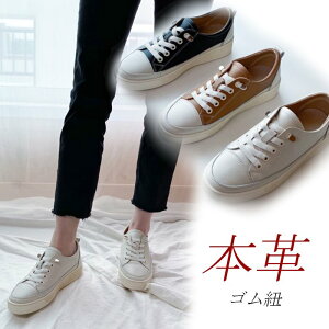 {v v Xj[J[ fB[X [Jbg U[Xj[J[  SR  ubN uE x[W 傫TCY JWA RtH[gV[Y