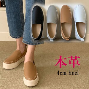 {v Xb| fB[X  4.5cm U[ Xj[J[ [Jbg JWA fB[XV[Y  ubN  zCg O[ uE