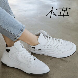 {v Xj[J[ fB[X [Jbg U[Xj[J[   ubN  zCg fB[XV[Y 傫TCY R JWA Vv C