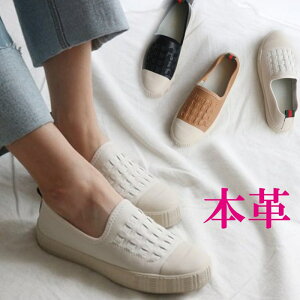 {v Xb| fB[X  U[ Xj[J[ S  Xj[J[ [Jbg fB[XV[Y v 傫TCY  ubN x[W uE