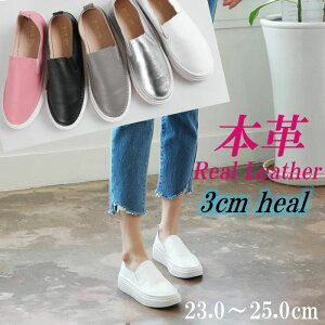 {v Xb| fB[X    U[ Xj[J[ [Jbg Vv JWA fB[XV[Y RȂ C 傫TCY Vo[ sN