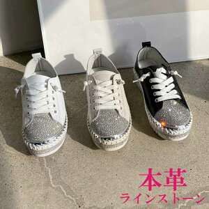 {v Xj[J[ fB[X [Jbg U[Xj[J[ SR CXg[ rW[  ubN zCg  x[W