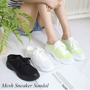 bV Xj[J[ T_ fB[X  Xb| [Jbg Ȃ  zCg  ubN CG[ y ʋC