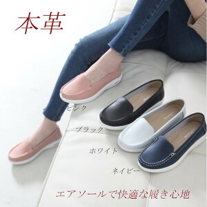 {v [t@[ Xb| fB[X U[ hCrOV[Y v JV tbgV[Y GA\[   sN lCr[ 傫TCY ʋ