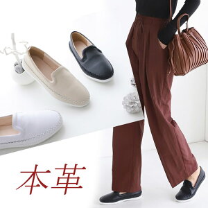 {v JWAV[Y v Xb| U[ tbgV[Y fB[X [t@[ hCrOV[Y 傫TCY  ubN  zCg x[W