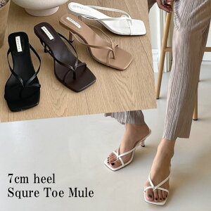 gOT_ fB[X ~[ T_ sq[ 7cm nCq[ XNGAgD gO~[  ubN uE x[W  zCg