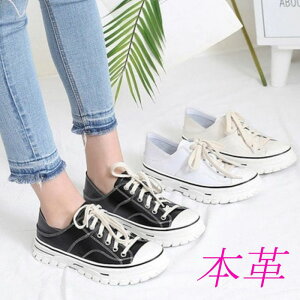 {v v Xj[J[ fB[X [Jbg U[Xj[J[   ubN  zCg x[W R 傫TCY JWA fB[XXj[J[