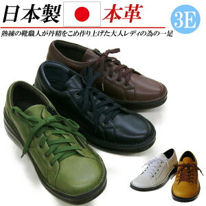 { {v Xj[J[ [Jbg R Wbp[ fB[X C U[ V[Y L 4E RtH[g  ubN O[ uE