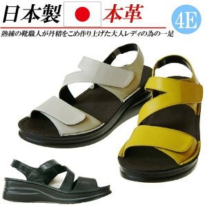 { {v T_ 4E L fB[X EFbWq[ 5cm  U[ RtH[gT_ Xgbv }WbNe[v S