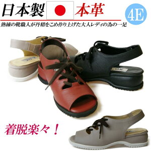 { {v T_ 4E L Xgbv fB[X RtH[gT_[q[ [XAbv