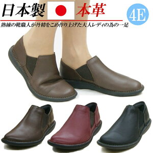 { {v Xb| L 4E RtH[gV[Y TChSA fB[X JWAV[Y ₷ Xj[J[ RȂ y