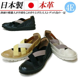 { {v Xb| fB[X 4E L S xg RtH[gV[Y tbgV[Y