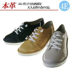 {v Xj[J[ 4E L RtH[gV[Y fB[X U[Xj[J[ SR  ubN L O[