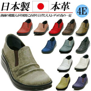 { {v RtH[gV[Y L 4E Xb| fB[X JWAV[Y  ₷ ɂȂ TChSA Xj[J[ 傫TCY