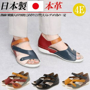 { {v T_ fB[X 4E L [q[ tbg U[ RtH[gT_ y }`J[  ubN bh u[ CG[