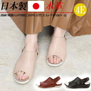 { {v T_ fB[X [q[ tbg L 4E Xgbv 2way U[ RtH[gT_ Xbp  ubN x[W bh