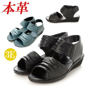 {v T_ fB[X EFbWq[ [q[ tbg L 3E  ubN u[cT_ OfBG[^[ U[T_