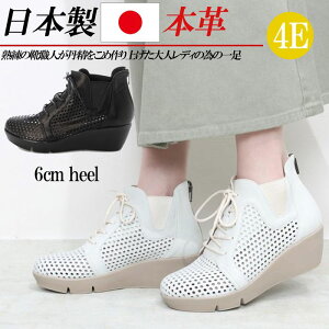 { {v T}[u[c EFbWq[ 6cm  V[gu[c L 4E fB[X u[c p`O [XAbv U[  ubN  zCg