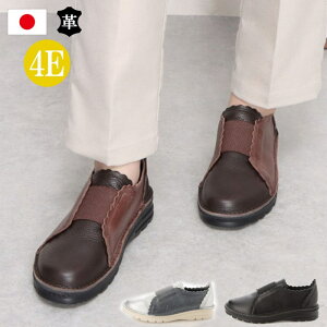 { {v Xb| L 4E U[ Xj[J[ [Jbg C S fB[X JWAV[Y RtH[g