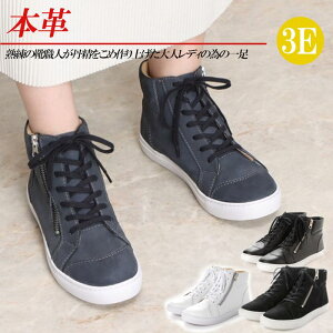 {v Xj[J[ nCJbg L 3E fB[X U[Xj[J[ R [XAbv