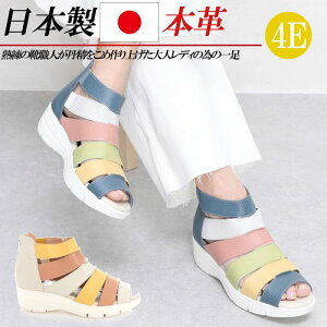 { {v OfBG[^[T_ fB[X T_ 4E L 4.5cm EFbWq[ U[ RtH[gT_