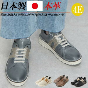 { {v Xj[J[ 4E L U[Xj[J[ fB[X RtH[gV[Y JWAV[Y [Jbg R