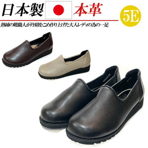 { {v RtH[gV[Y L 5E fB[X U[ Xb| JWAV[Y Xj[J[ [Jbg