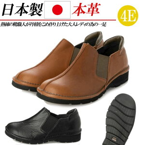 { {v Xb| L 4E RtH[gV[Y TChSA fB[X \tg U[ Xj[J[ RȂ