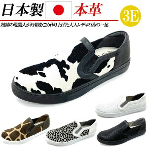 { {v Xb| C fB[X Xj[J[ [Jbg RȂ U[ RtH[gV[Y Aj}