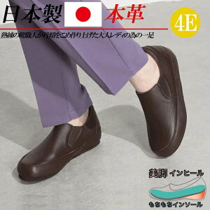 { {v Xb| L 4E Cq[ RtH[gV[Y TChSA fB[X U[ Xj[J[ RȂ