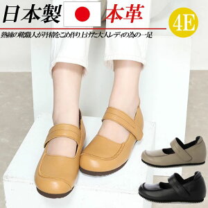 { {v pvX 3.5cm Cq[ Xgbv 4E L tbgpvX RtH[g