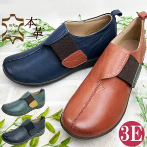 {v RtH[gV[Y 3E L Xb| fB[X Xj[J[ U[ RȂ C JWA