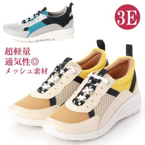 bV Xj[J[ fB[X 3E L [Jbg y ʋC X|[eB[ EH[LOV[Y R