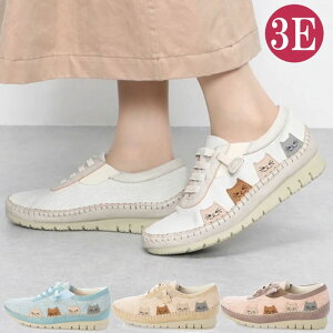 lR L Xj[J[ fB[X L 3E [Jbg SR TChSA fB[XXj[J[ Xb| RtH[g