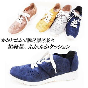 Xj[J[ fB[X [Jbg R y NbV ₷ fB[XXj[J[ 傫TCY EH[LOV[Y TChSA lCr[ O[